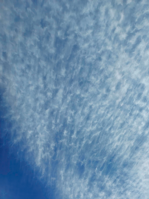 Cloud Flock -.jpg