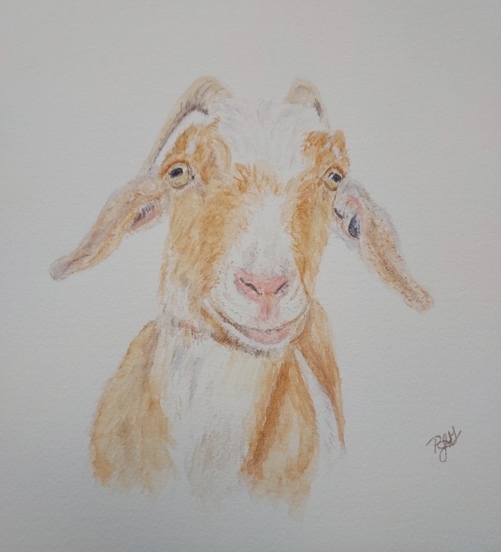Hazel of Emery Farm.jpg
