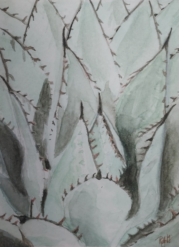 Heart of Agave.jpg