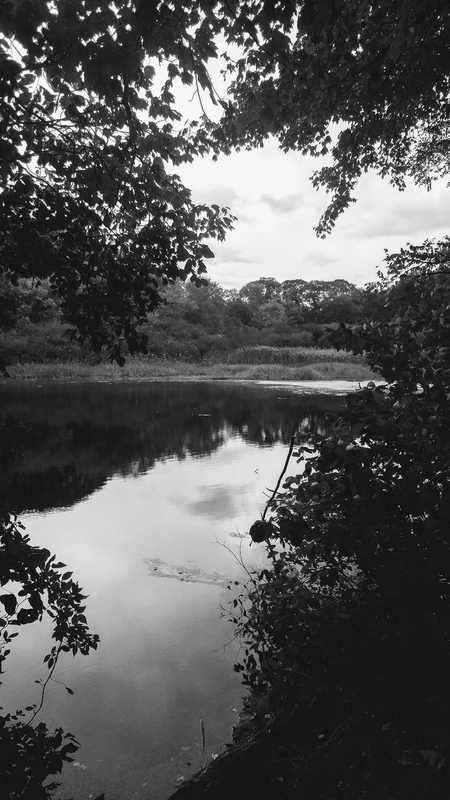 Still Waters - Black and White.jpg