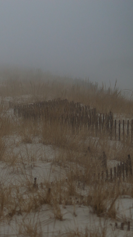 Winter Fog.jpg