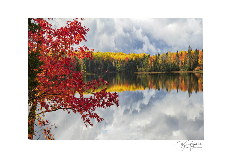 _A077942_Vickery Lake_Oxford NS.jpg