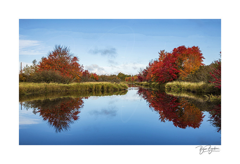 _BBL1633-Reflections Newville Lake NS copy.jpg
