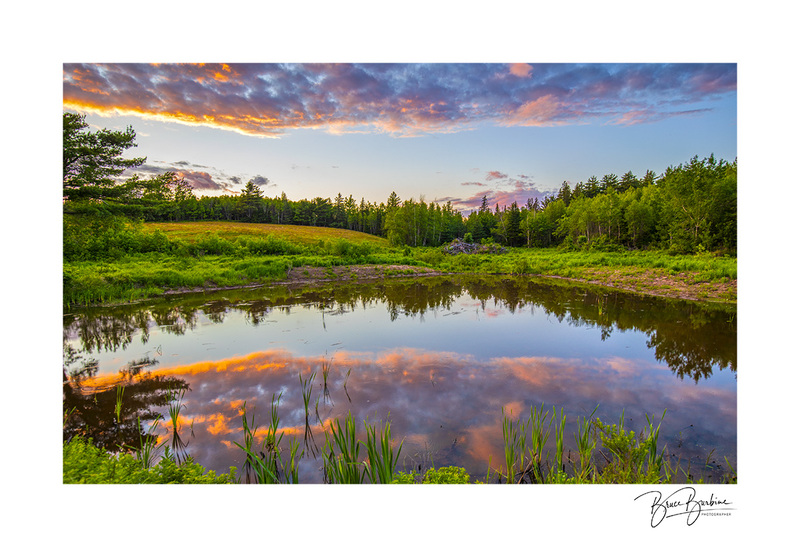 _BBL5977-Pond Reflection-East Southampton NS.jpg
