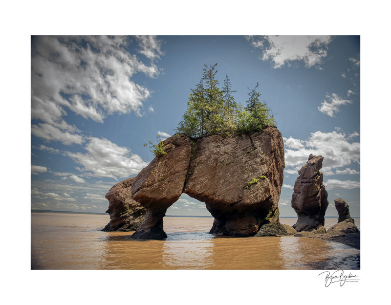_BBL8018-Hopewell Rocks NB.jpg