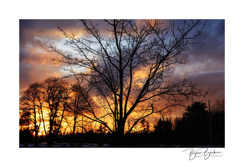 _DBB0148-Golden Silhouette-Southampton NS.jpg