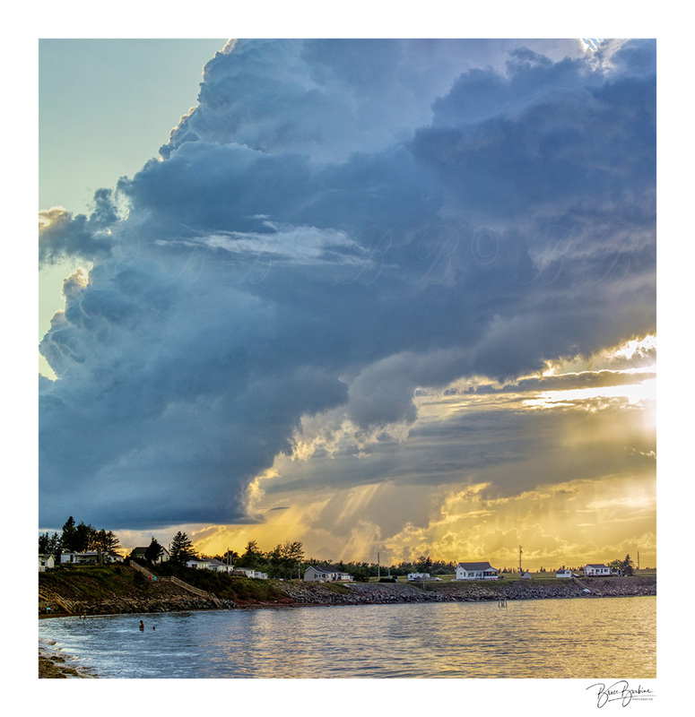 _DBB1008-Reaching new Heights_Panorama_Spruce Heaven NS.jpg