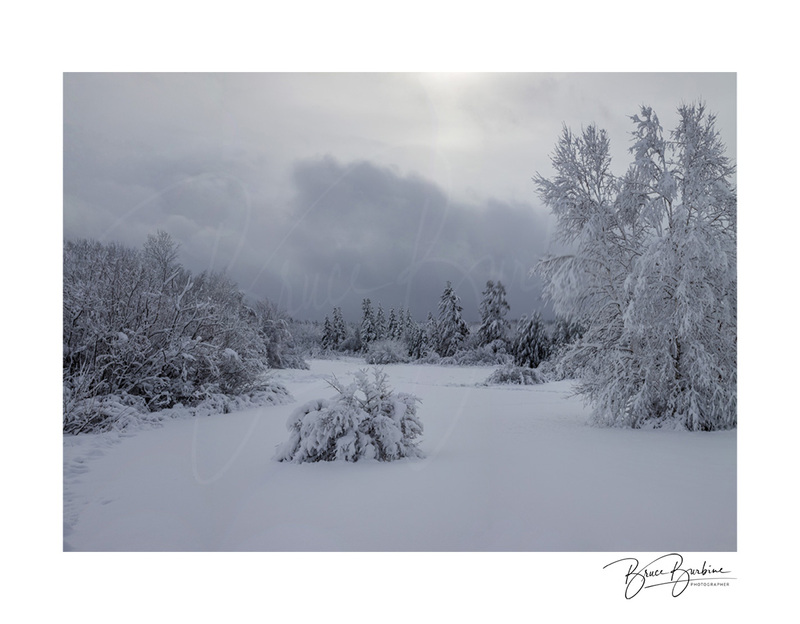 _DBB1018-Stormy Skys-Southampton NS.jpg