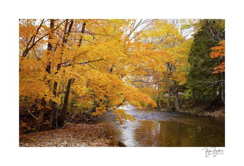_DBB1019-Wentworth Fall Colors NS.jpg