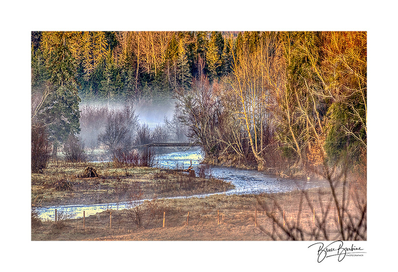 _DBB1021-2-Foggy Hollow-Southampton NS copy.jpg