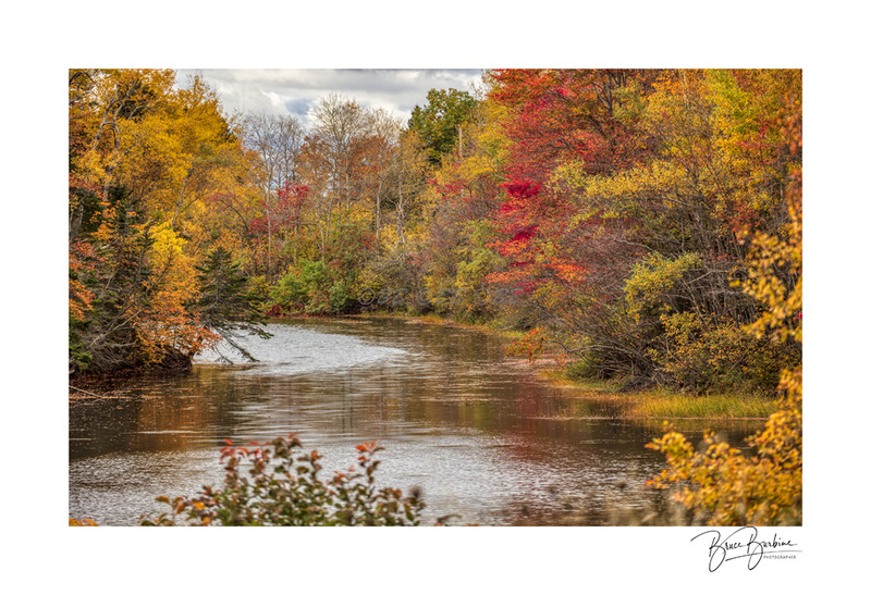 _DBB2611-Pugwash Fall Colors-Pugwash NS.jpg