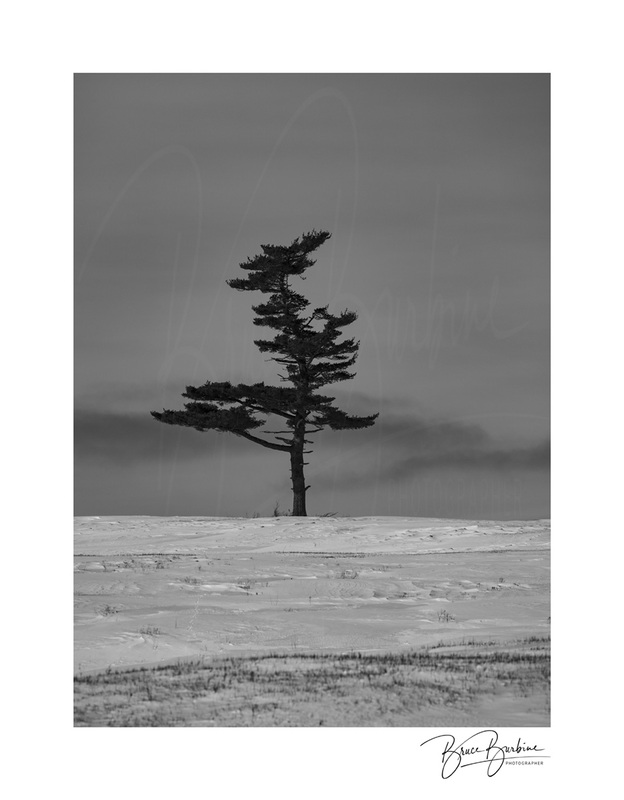 _DBB2836-Standing the Test of Time-Southampton NS.jpg