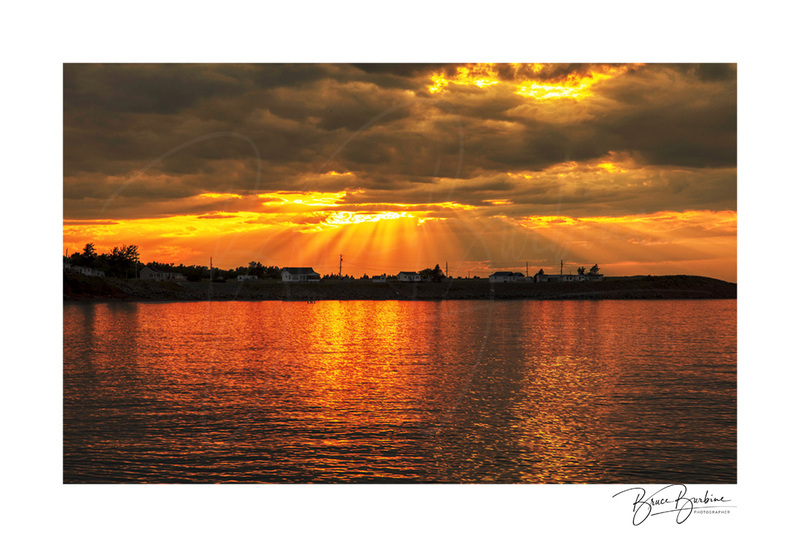 _DBB9129-Golden Sunrays-Spruce Haven NS.jpg