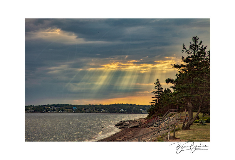_DBB9136-Sunrays-Pugwash NS(1).jpg