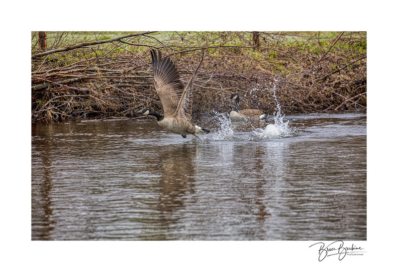 _DBB9255-Lift Off-Southampton NS.jpg