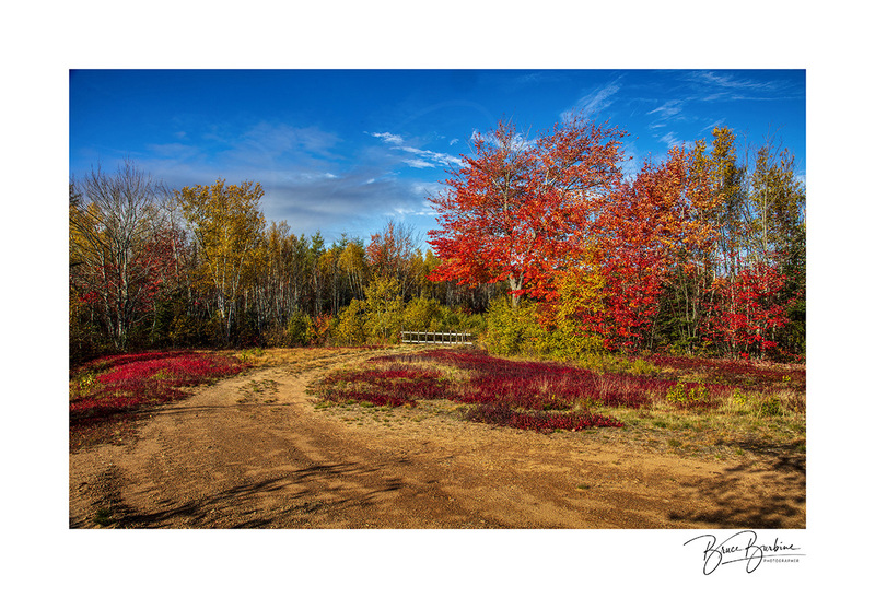 _DBB9565-Fall Colors-Coldbeck Road NS.jpg