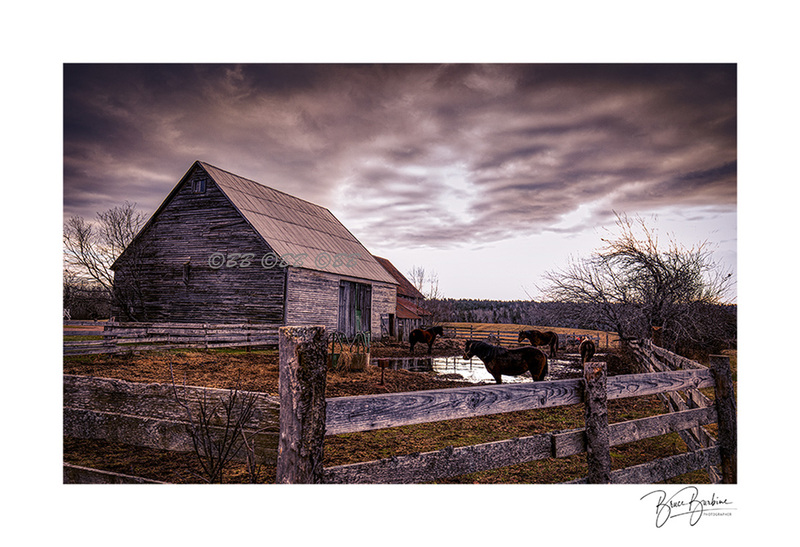_DBBL2361-This Old Barn2-Cloudy Day-Southampton NS copy.jpg