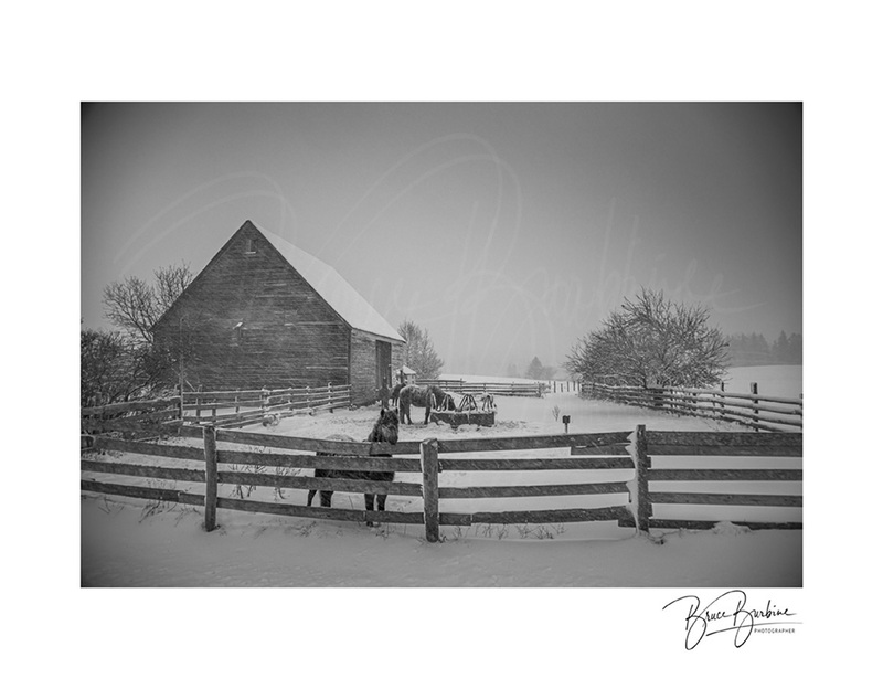 _DBBL2474-Weathering the Storm-Southampton NS.jpg