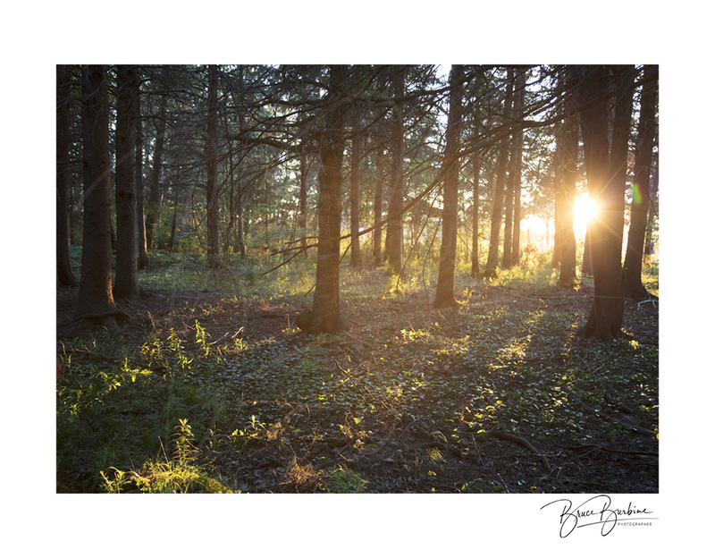 _IDBB7651-Sun Beams-Pugwash NS.jpg