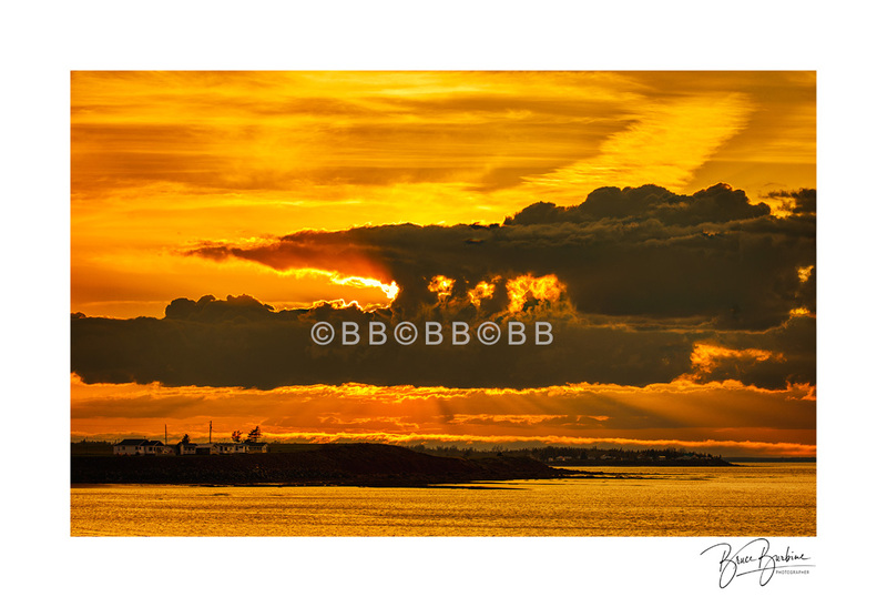 DDBB9907-Sunset Spruce Heaven NS copy.jpg