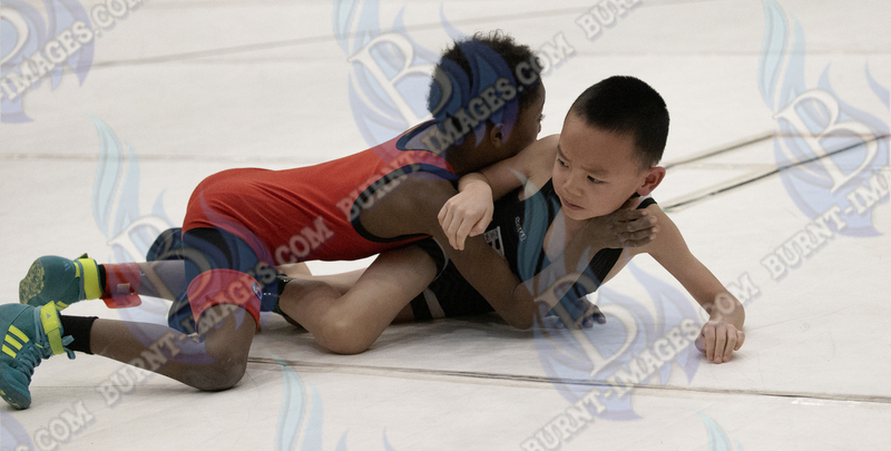 Boys Warrior Wrestling Club matts 1 thru 620260119048.jpg