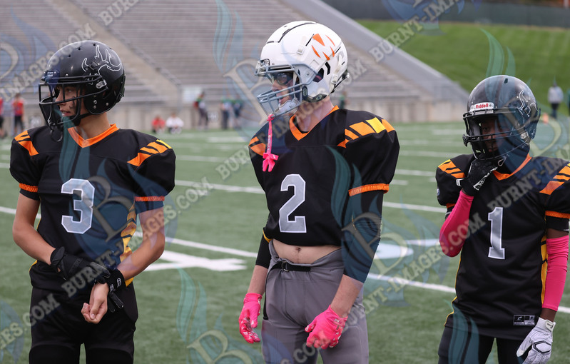 East vs West 20251026_001.jpg