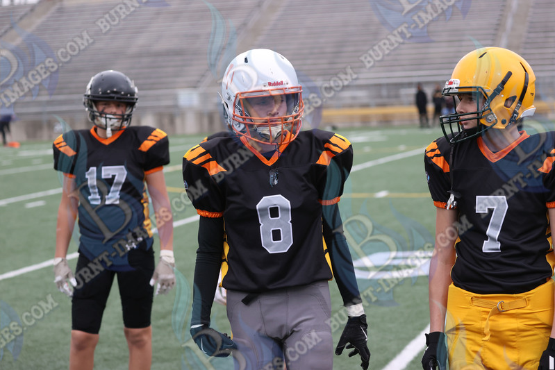 East vs West 20251026_004.jpg