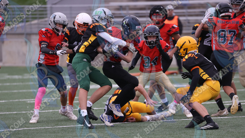 East vs West 20251026_050.jpg