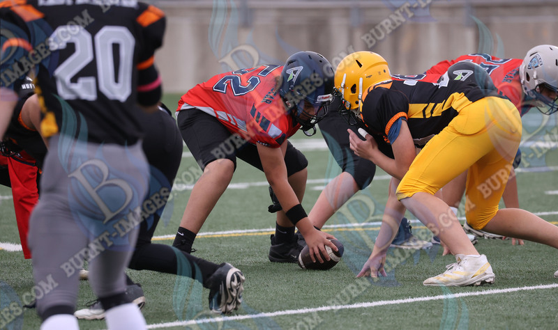 East vs West 20251026_054.jpg