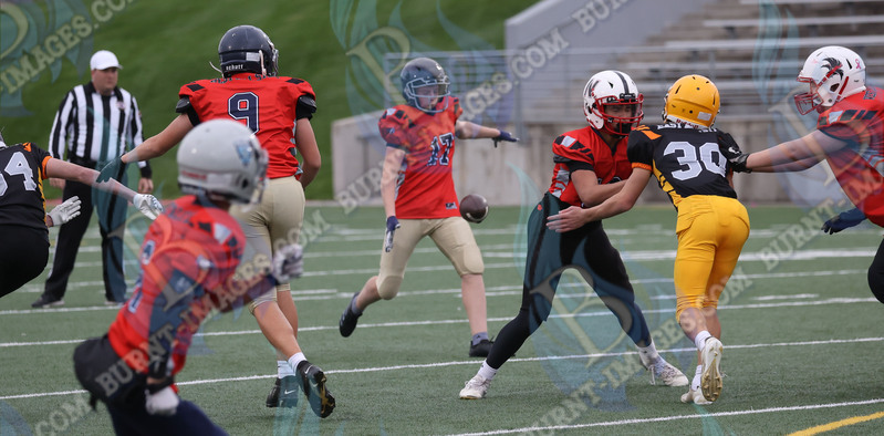 East vs West 20251026_056.jpg