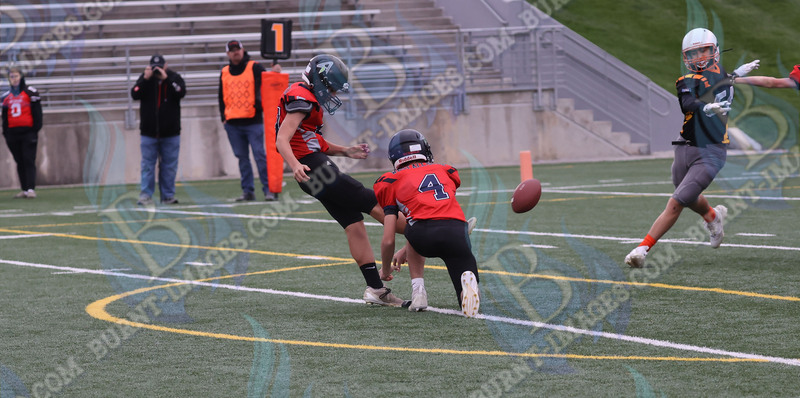 East vs West 20251026_060.jpg