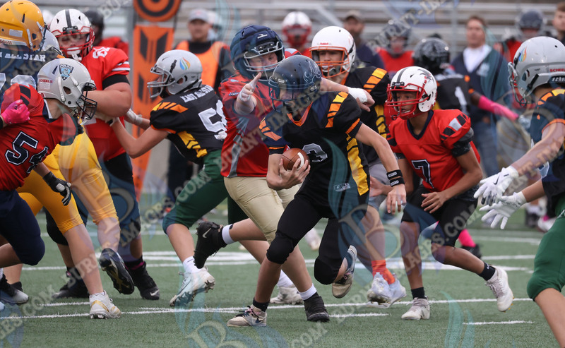 East vs West 20251026_062.jpg