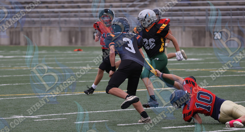 East vs West 20251026_064.jpg