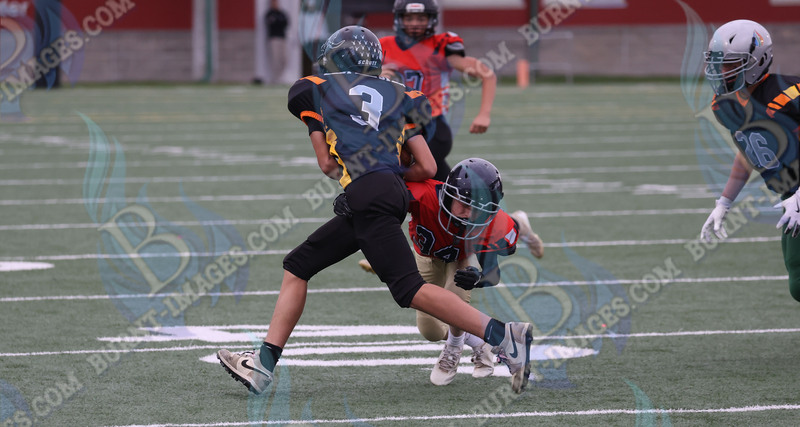 East vs West 20251026_065.jpg