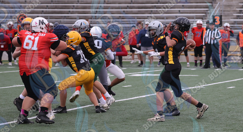 East vs West 20251026_071.jpg