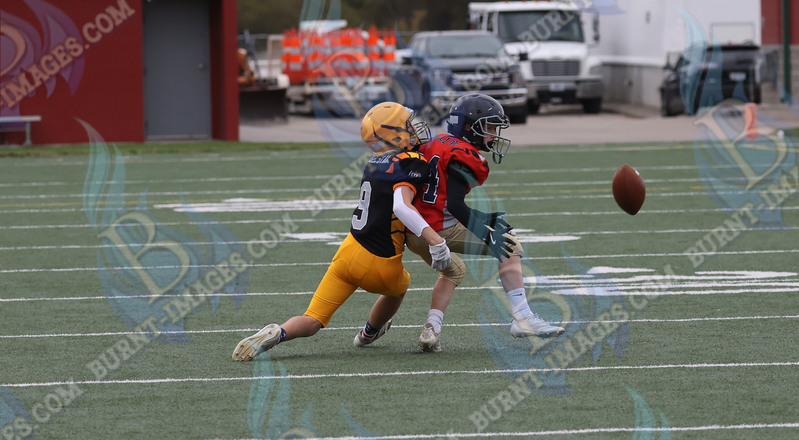 East vs West 20251026_072.jpg