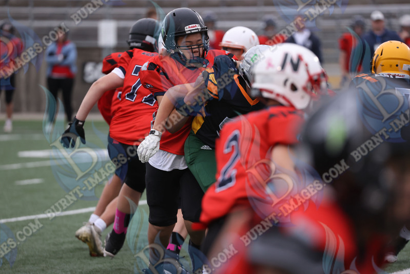 East vs West 20251026_074.jpg