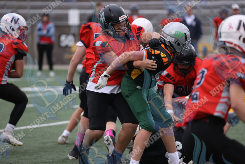 East vs West 20251026_075.jpg