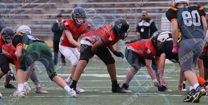 East vs West 20251026_078.jpg