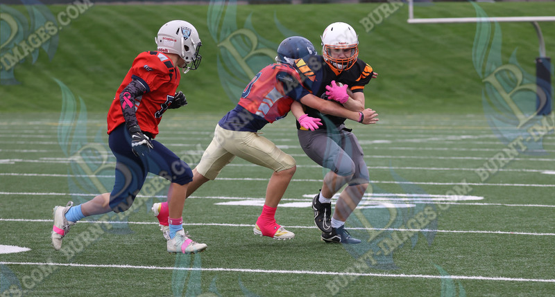 East vs West 20251026_088.jpg