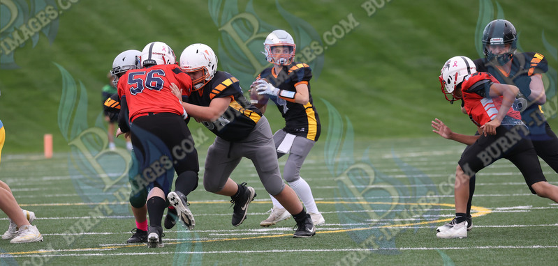 East vs West 20251026_090.jpg