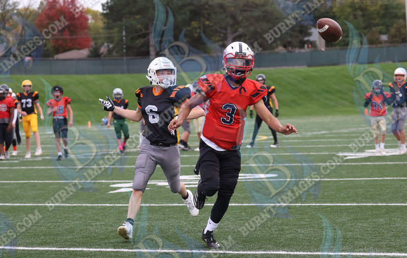 East vs West 20251026_098.jpg