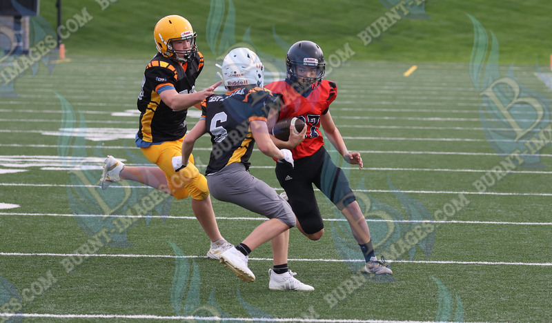 East vs West 20251026_101.jpg