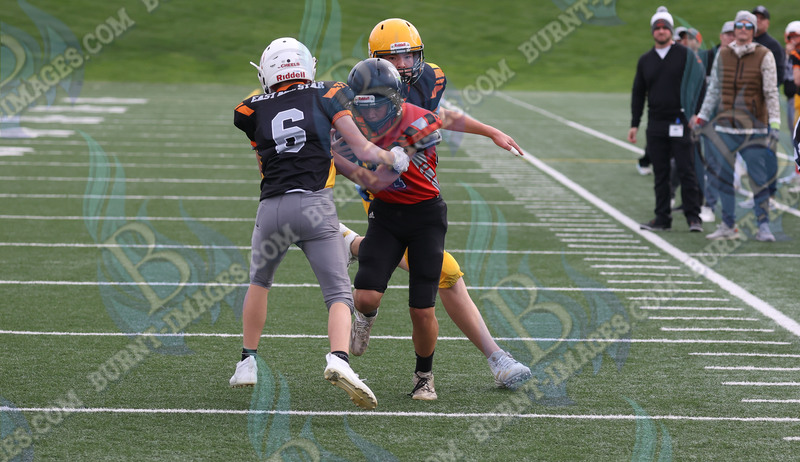 East vs West 20251026_102.jpg