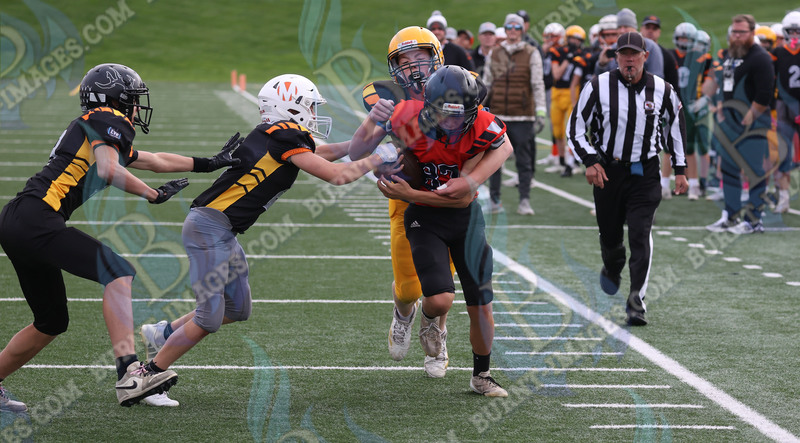 East vs West 20251026_103.jpg