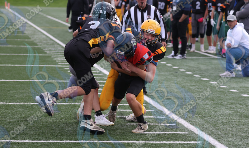 East vs West 20251026_104.jpg