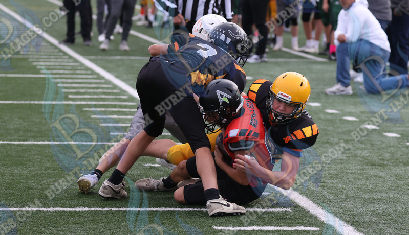 East vs West 20251026_105.jpg