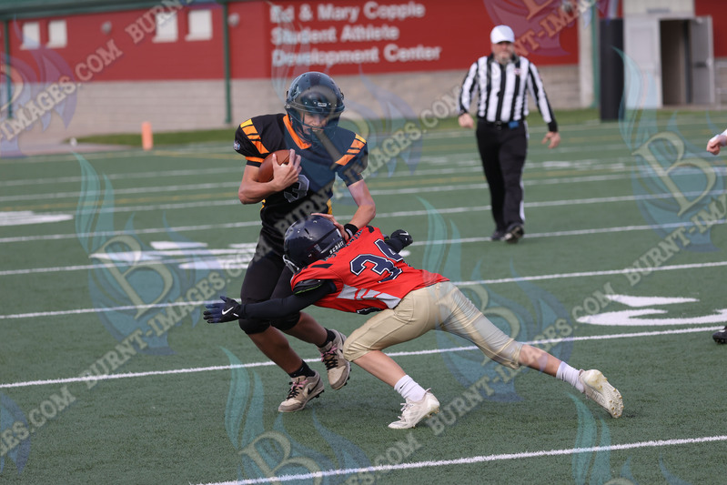 East vs West 20251026_111.jpg