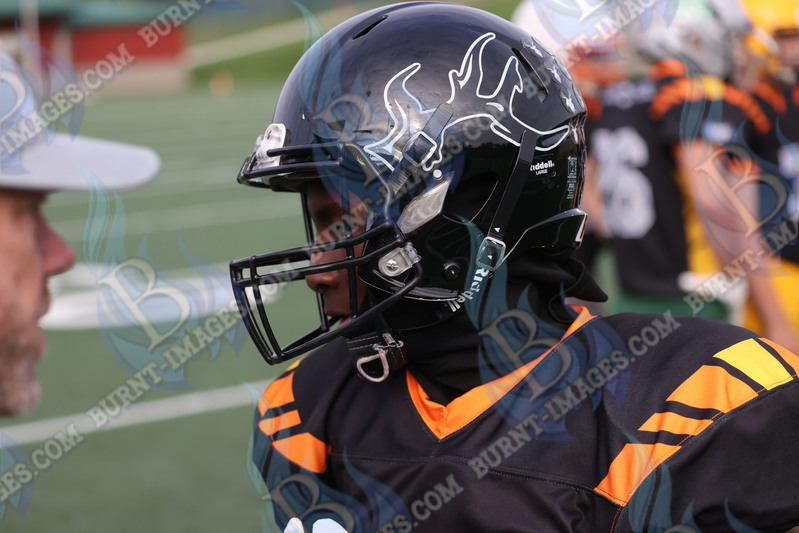 East vs West 20251026_120.jpg