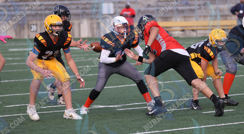 East vs West 20251026_122.jpg